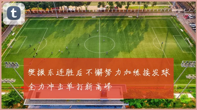 樊振东连胜后不懈努力加练接发球全力冲击单打新高峰